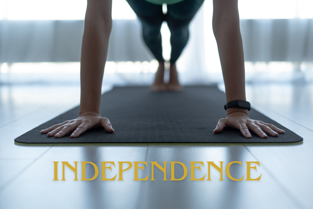 🌟 Celebrating Independence: A Heartwarming Success Story with Nikoniko 🌟